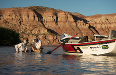 Limay River Lodge - gallery image 4