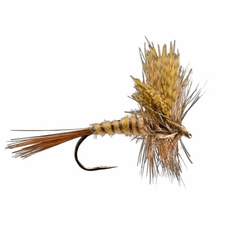 march-brown-western-79.png