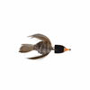 Mason's Baby Swallow