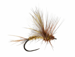 Mason's Fully Loaded Drake