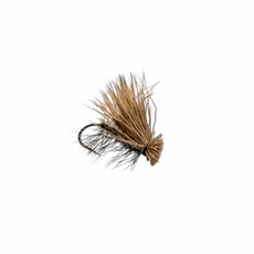 6 Emerger Al Tungsteno Per Mosca - Coda Di Fagiano, Caddis, May Fly, Taglia 20