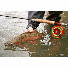 best spinning combo for middle fork willamette river chinook fishing 13 SYNC 6'10