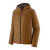 Nano Puff Fitz Roy Trout Hoody