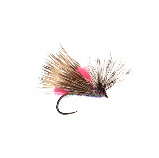 Olsen's Front End Loader Caddis - Caddis Fly Patterns