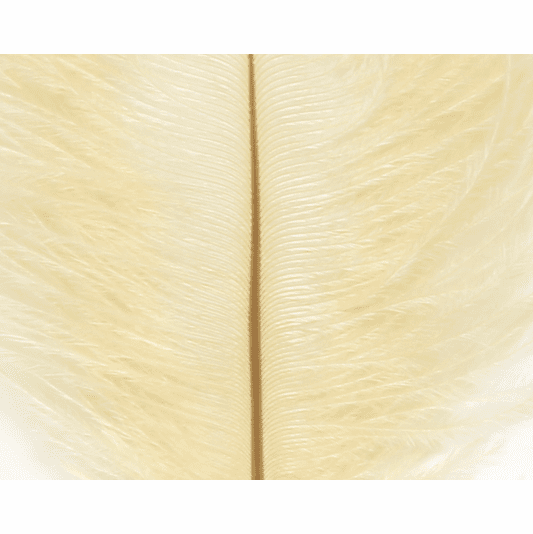 12 Plumes MARABOU BRUN ROUX PASTEL 12 A 17 Cm Montage Fly