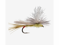 Parachute Yellow Sally