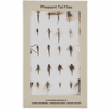 Patagonia Fly Box - Pheasant Tail Flies