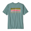 Patagonia Men's Take a Stand Responsibili-Tee