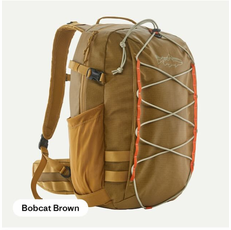 Patagonia Stealth Pack 25L