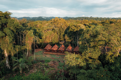 Pluma Lodge - gallery image 3