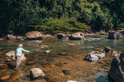Pluma Lodge - gallery image 13