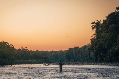 Pluma Lodge - gallery image 18