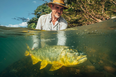 Pluma Lodge - gallery image 19