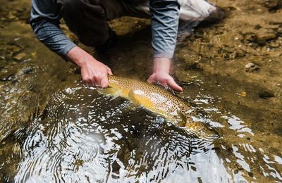 Poronui Lodge - gallery image 16