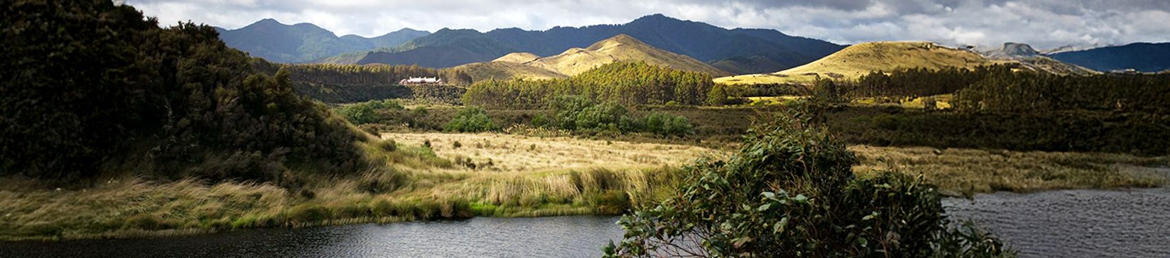 Lodge Decoration Image