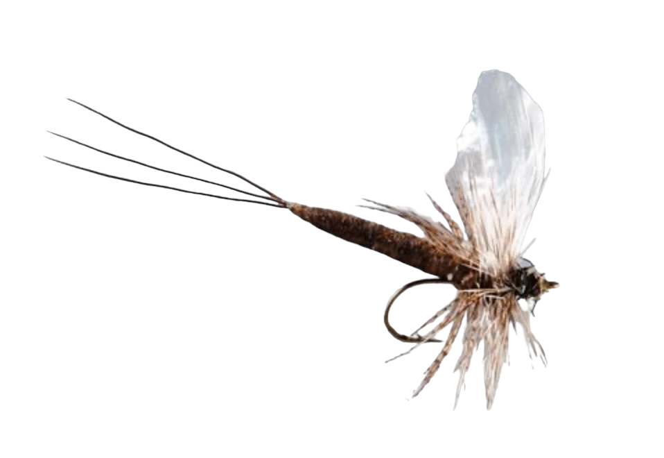 Rainy's X Fly Modular Drake Rainy's Flies