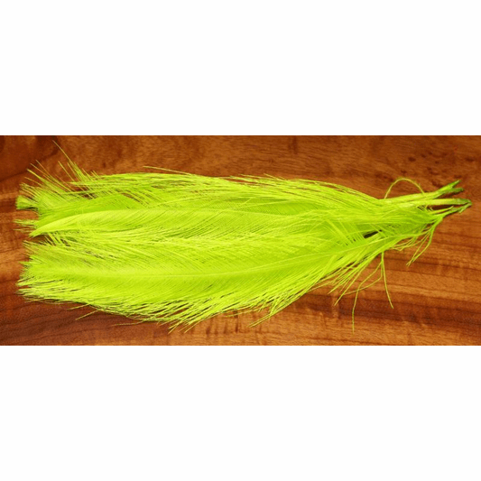 Quill Raptor Raptor Hackle - Short Rhea Quills
