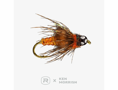 RIO's Morrish Deep October Pupa