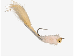 Rio's Resting Beach Face Fly