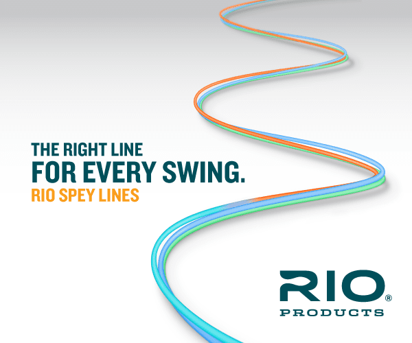 Rio Scandi Short Body Spey Shooting Head Fly Line