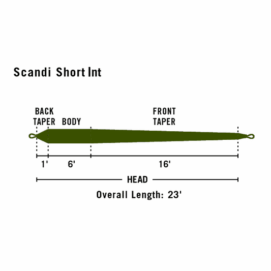 Rio Scandi Short Body Spey Shooting Head Fly Line