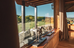 River House Lodge - gallery image 4