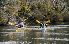 River House Lodge - gallery image 8
