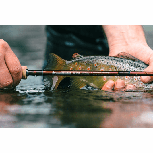 Sage R8 Power Fly Rod - Sage Fly Rods