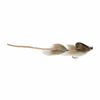 Satkowski's Quasi Modo Mouse Fly