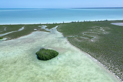 Sian Ka'An Lodge - gallery image 4