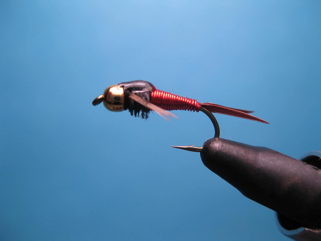 Tungsten Copper John Red Nymph Fly Patterns