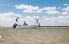 West Cape York Mothership - gallery image 8