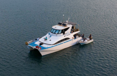 West Cape York Mothership - gallery image 1