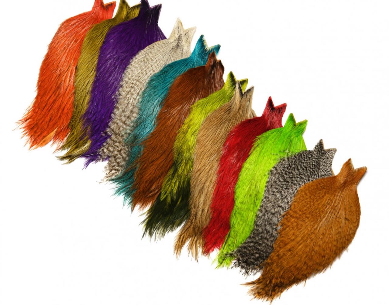 Whiting Coq De Leon Cape Whiting Farms Rooster Feathers