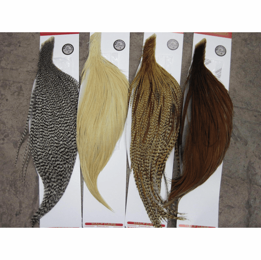 Whiting Coq De Leon Soft Hackle with Chickabou – Whiting Farms