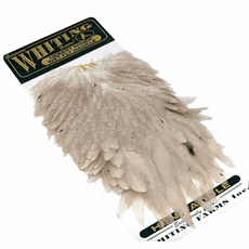 whiting-hebert-minor-hen-