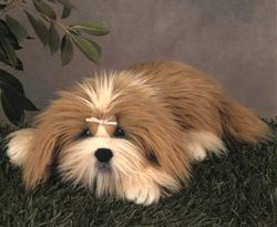 15" Annabell Shih Tzu Plush by Lou Rankin
