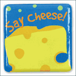 26Stephen Joseph Silly Squares Cheese Magnet