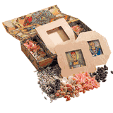 Authentic Models for Kids Beachcomber's Treasure Kit