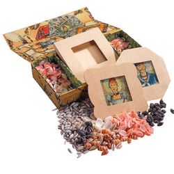 Authentic Models for Kids Beachcomber's Treasure Kit