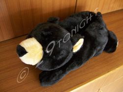 Brown Bear Adult Animal Slippers