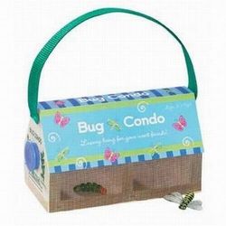 Bug Condo