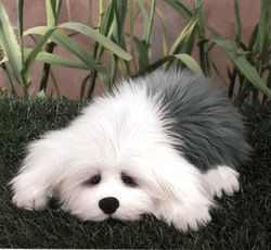 Lou Rankin Higgins English Sheepdog Plush Dog by Encore
