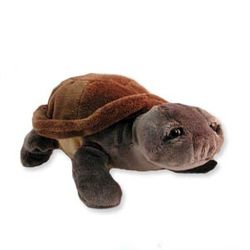 Lou Rankin Mini Slowpoke Turtle by Encore