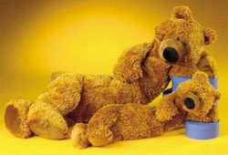 Princess Toys Longfellow Bear - 26" and 15" Long
