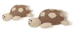 Sock Turtles by Sock Monkey