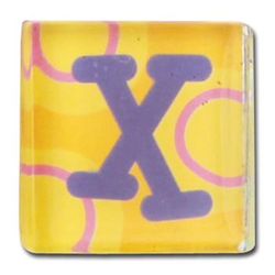 Stephen Joseph Acrylic Small Talk Magnet Letter X