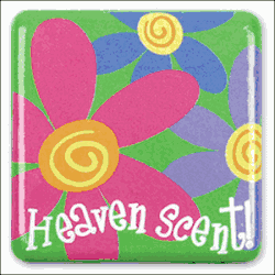 Stephen Joseph Silly Squares Flowers Magnet