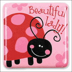 Stephen Joseph Silly Squares Ladybug Magnet