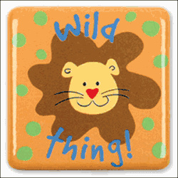 Stephen Joseph Silly Squares Lion Magnet